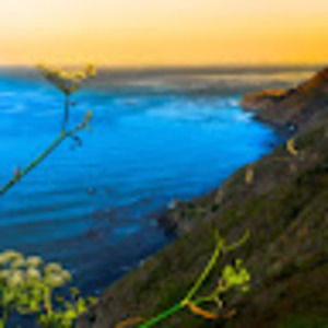 Meet your Posher, Lifebyleo